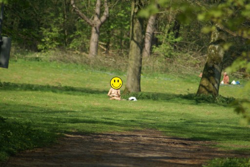 Naaktstrand in het Amsterdamse bos