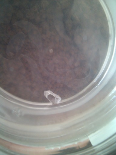 Glasscherf in pot oploskoffie DE