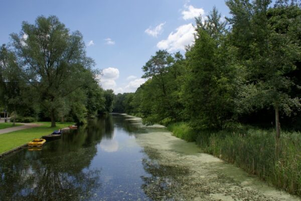 Amsterdamse Bos aan de landscheidingskade.