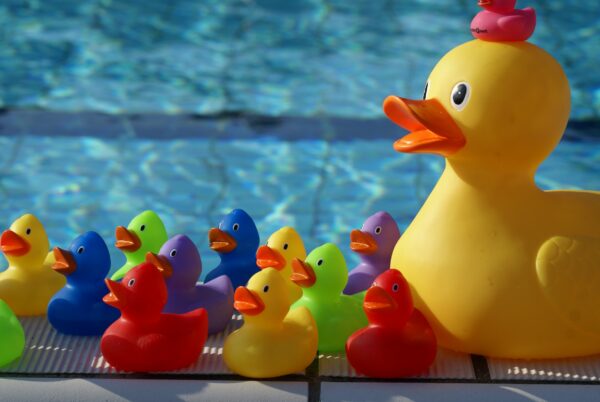 Badeendjes kleuren zwembadrand: geel, blauw, paars, rood, roze.