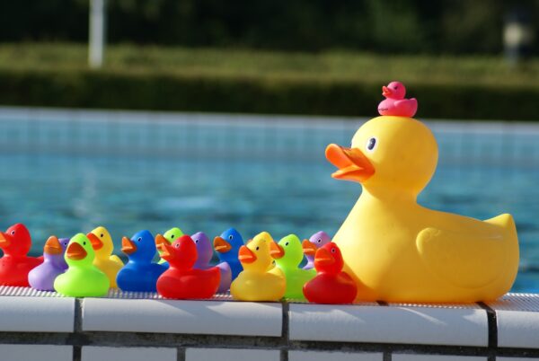 Badeendjes kleuren zwembadrand: geel, blauw, paars, rood, roze.