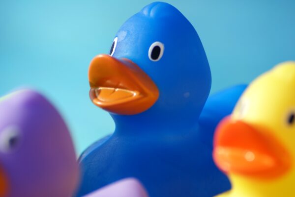 Badeendjes aan zwembadrand: geel, blauw, paars, rood, roze.