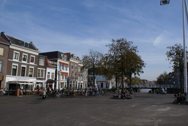 Beestenmarkt in Leiden, diverse dieren.