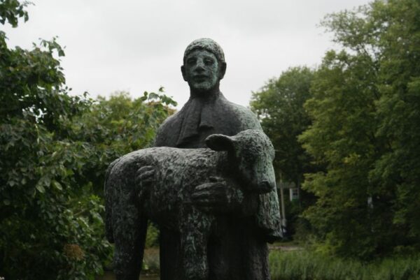 Boer met kalf in Alkmaar