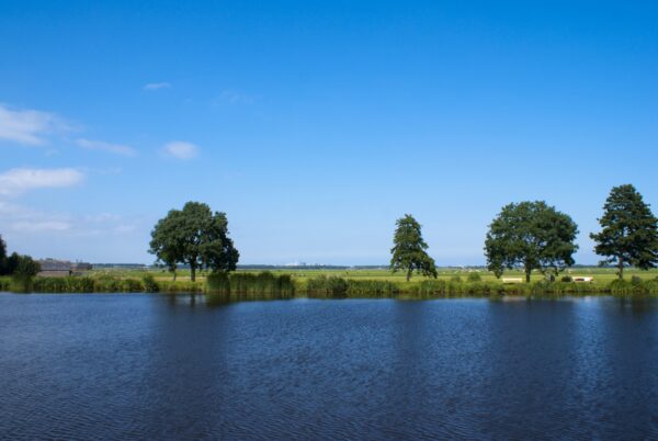 Amstel met bomen, ArenA en Rembrandttoren op de achtergrond.