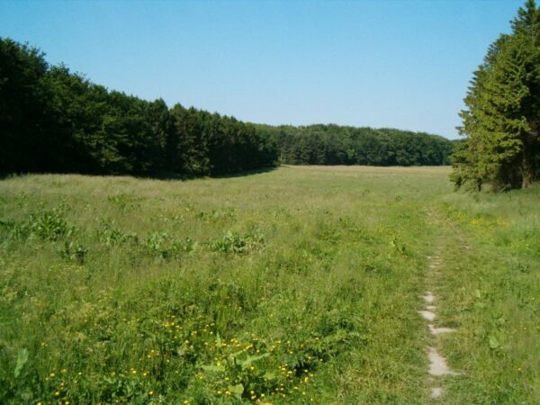 De Heuvel (Amsterdamse bos)