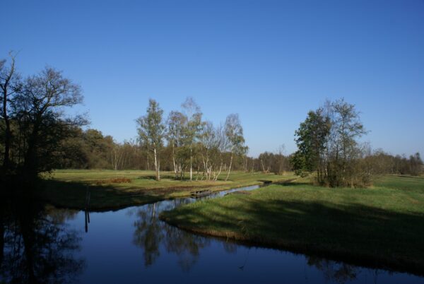 Oeverlanden in het Amsterdamse Bos.