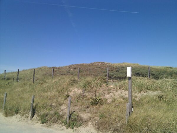 Duinen bij Noordwijk aan Zee