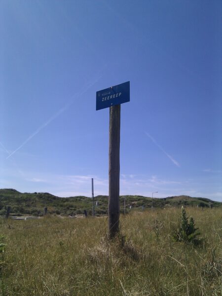 Duinen bij Noordwijk aan Zee