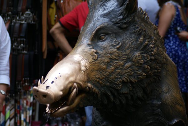 Fontana del Porcellino in Florence.