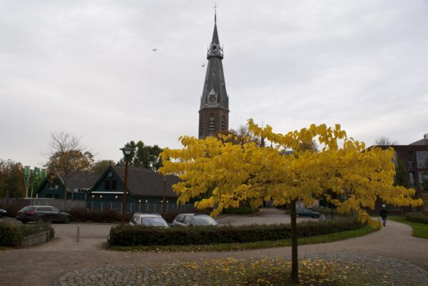 Herfstbladeren in de kerk.