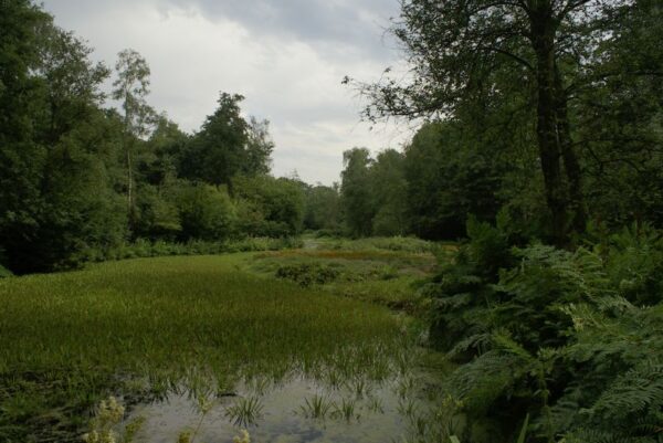Jac. P. Thijssepark in Amstelveen.