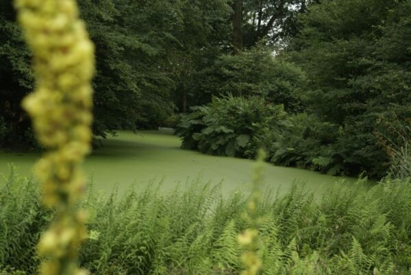 Jac. P. Thijssepark in Amstelveen.