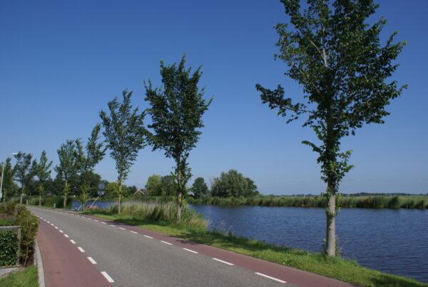 Amstel bij Nes aan de Amstel.