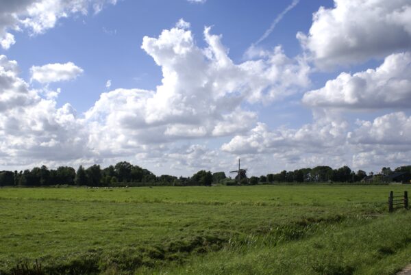 Stapelwolken, molen en koeien in Ouderkerk.