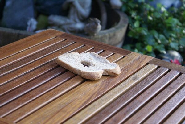 Mus met honger op straat.