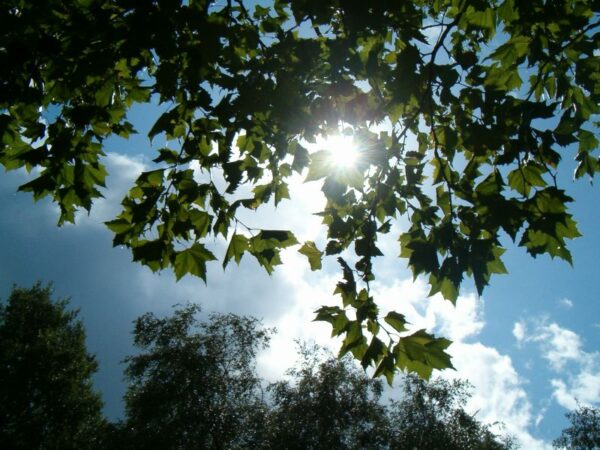 Regenboog na de regen.