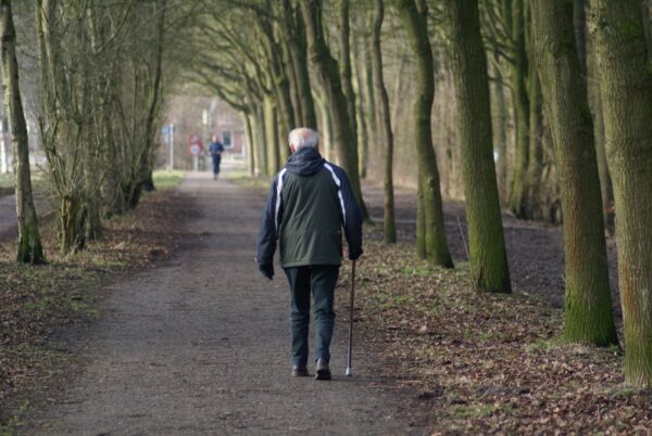 Oude man met wandelstok in Amsterdamse Bos.