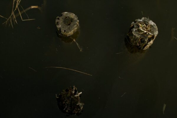 Paaltjes in het water.