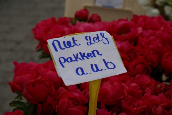 Pioenrozen kraamje, Markt Den Bosch.