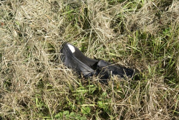 Rode schoen in berm Amstel, mogelijk misdaad?