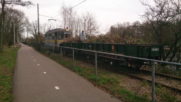 Snoeikampioen langs spoorlijn Amstelveen.