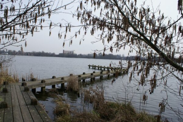 Houten steiger op water.
