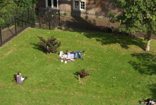 Zonnig stel ontspant in het gras bij de Burcht van Leiden.