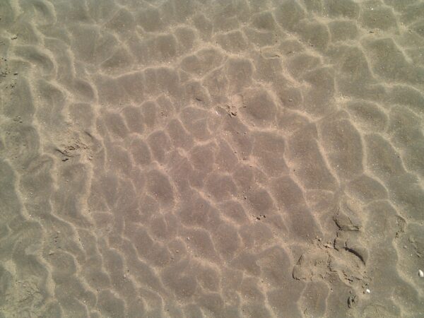 Zandsporen in droog waterbed.