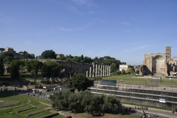 Tempel van Venus gezien vanaf het Colosseum in Rome, 2008.
