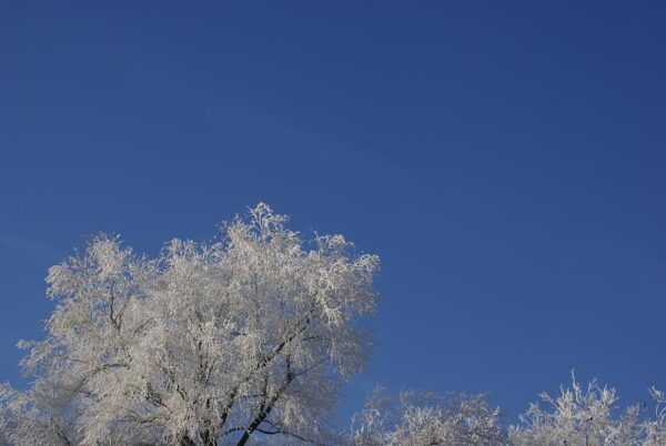 Bevroren landschap, winterse natuur.