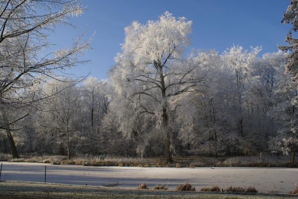 Bevroren landschap, winterse natuur.