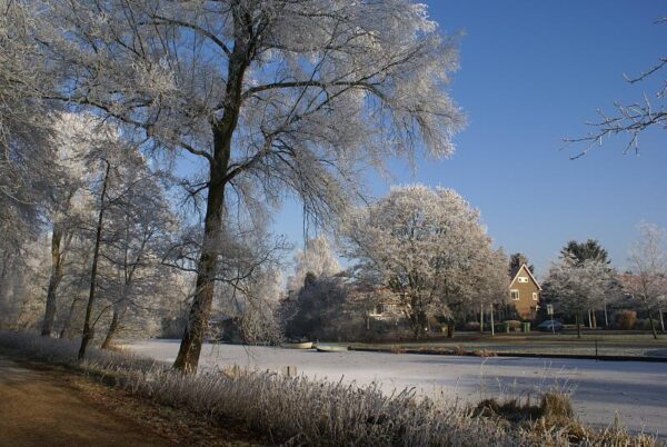 Bevroren landschap, winterse natuur.