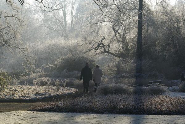 Bevroren landschap, winterse natuur.