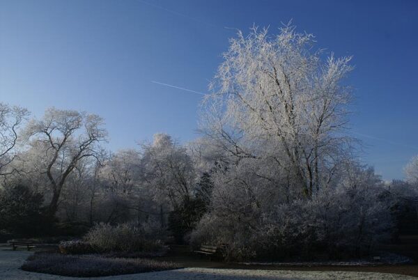 Bevroren landschap, winterse natuur.