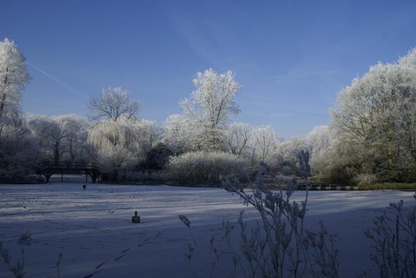 Bevroren landschap, winterse natuur.