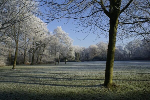 Bevroren landschap, winterse natuur.