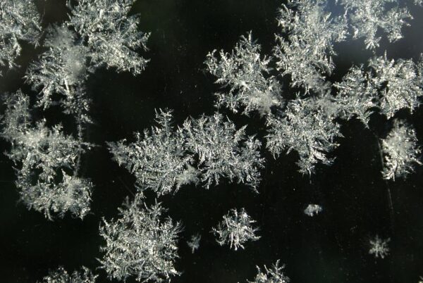 Bevroren landschap: winterse natuurfotografie.