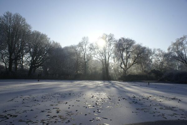Bevroren landschap, winterse natuur.