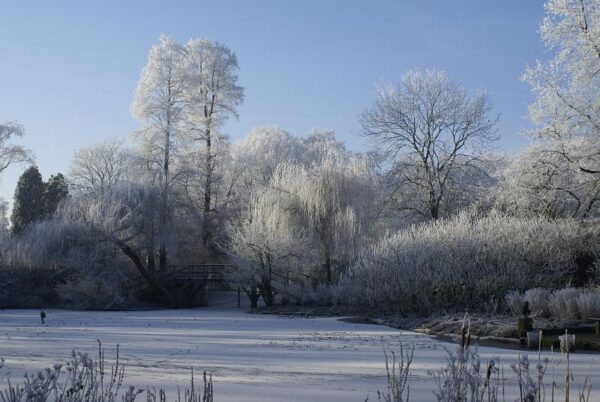 Bevroren landschap: winterse natuurfotografie.