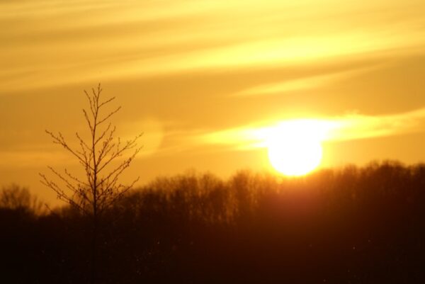 Zonsondergang bij de Poel, rood door vulkaanuitbarsting.
