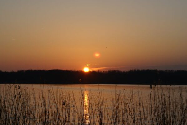Zonsondergang bij de Poel